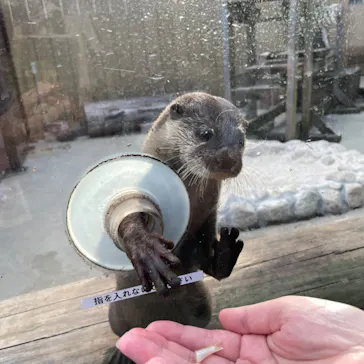横浜・八景島シーパラダイスに投稿された画像（2022/10/30）