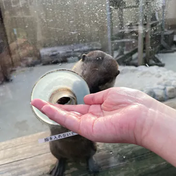 横浜・八景島シーパラダイスに投稿された画像（2022/10/30）
