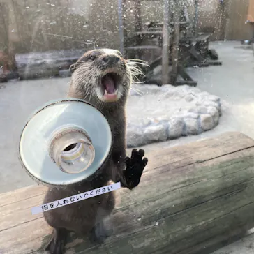 横浜・八景島シーパラダイスに投稿された画像（2022/10/30）