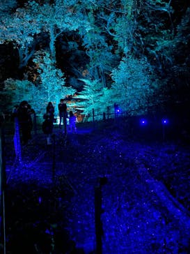 ムーミンバレーパークに投稿された画像（2022/10/31）