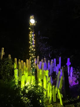 ムーミンバレーパークに投稿された画像（2022/10/31）