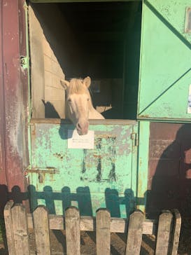 マザー牧場に投稿された画像（2022/10/29）