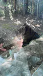 よこはま動物園ズーラシアに投稿された画像（2022/10/31）
