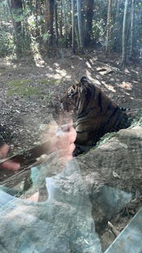 よこはま動物園ズーラシアに投稿された画像（2022/10/31）