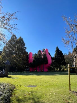 彫刻の森美術館に投稿された画像（2022/10/31）