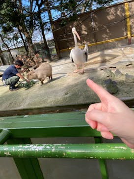 東武動物公園に投稿された画像（2022/10/31）