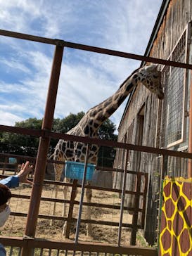 東武動物公園に投稿された画像（2022/10/31）