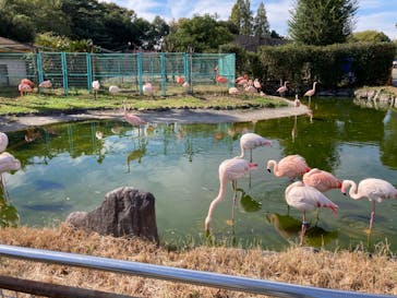東武動物公園に投稿された画像（2022/10/31）