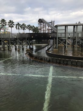 ナガシマスパーランドに投稿された画像（2022/10/31）