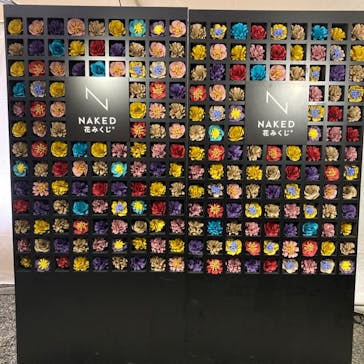 NAKED FLOWERS 2022 秋 世界遺産・二条城に投稿された画像（2022/10/31）