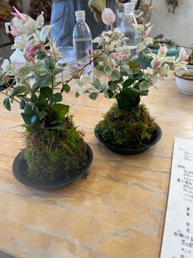 つぐみ工房に投稿された画像（2022/10/31）