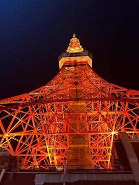 東京タワーに投稿された画像（2022/10/31）
