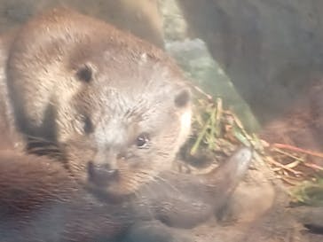 環境水族館アクアマリンふくしまに投稿された画像（2022/10/31）