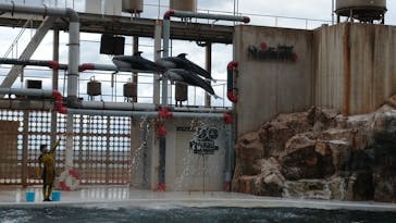 城崎マリンワールドに投稿された画像（2022/10/31）