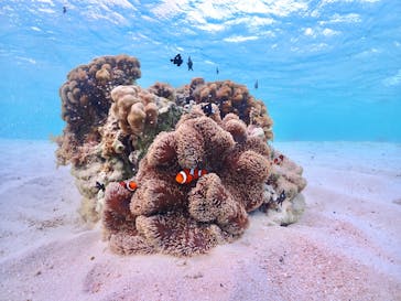 ちゃこたびに投稿された画像（2022/10/31）