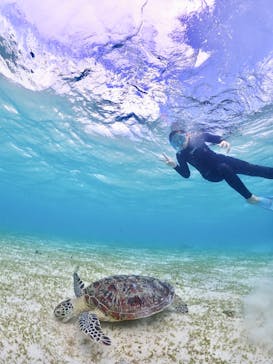 ちゃこたびに投稿された画像（2022/10/31）