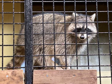 東武動物公園に投稿された画像（2022/10/31）