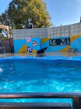 東武動物公園に投稿された画像（2022/10/31）