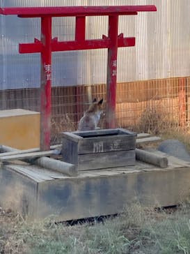 東武動物公園に投稿された画像（2022/10/31）