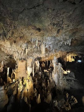 石垣島鍾乳洞に投稿された画像（2022/10/31）