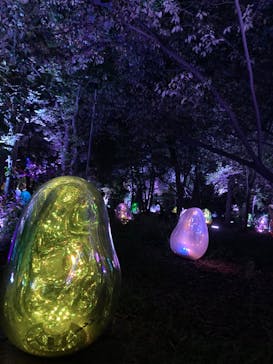 チームラボ ボタニカルガーデン 大阪に投稿された画像（2022/10/31）