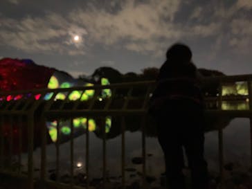 チームラボ ボタニカルガーデン 大阪に投稿された画像（2022/10/31）