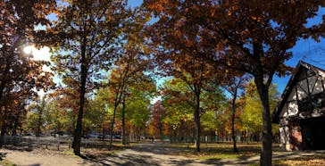 ノーザンホースパークに投稿された画像（2022/10/31）