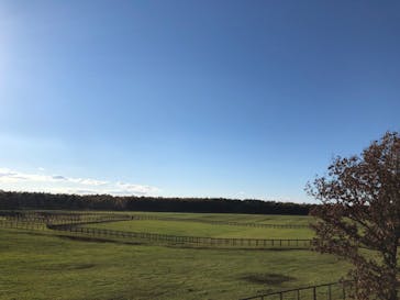 ノーザンホースパークに投稿された画像（2022/10/31）