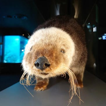 サンシャイン水族館に投稿された画像（2022/10/31）