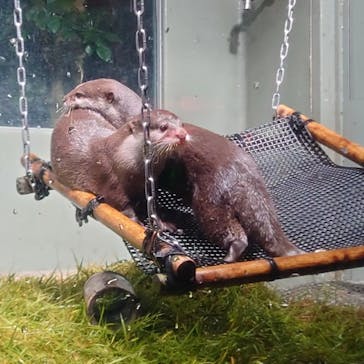 サンシャイン水族館に投稿された画像（2022/10/31）