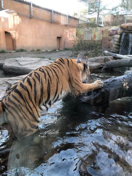 那須どうぶつ王国に投稿された画像（2022/10/31）