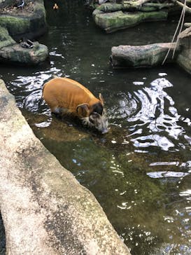 那須どうぶつ王国に投稿された画像（2022/10/31）