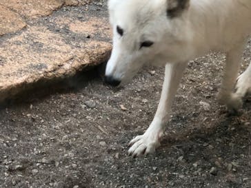 那須どうぶつ王国に投稿された画像（2022/10/31）