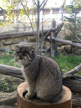 那須どうぶつ王国に投稿された画像（2022/10/31）