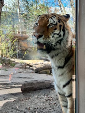 那須どうぶつ王国に投稿された画像（2022/10/31）