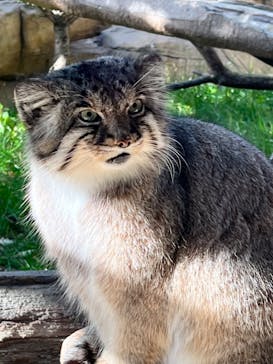 那須どうぶつ王国に投稿された画像（2022/10/31）