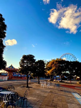 国営ひたち海浜公園プレジャーガーデンに投稿された画像（2022/10/31）