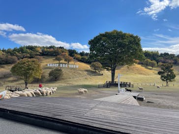 伊香保グリーン牧場に投稿された画像（2022/11/1）