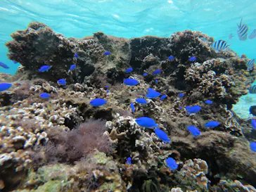 武藤潜水に投稿された画像（2022/11/1）