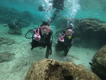 武藤潜水に投稿された画像（2022/11/1）