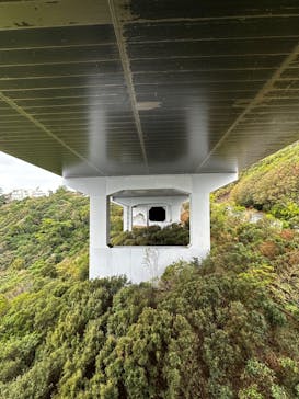 徳島県立 渦の道に投稿された画像（2022/11/1）