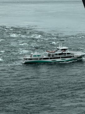 徳島県立 渦の道に投稿された画像（2022/11/1）