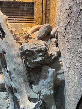 体感型動物園iZooに投稿された画像（2022/11/1）