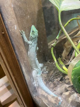 体感型動物園iZooに投稿された画像（2022/11/1）