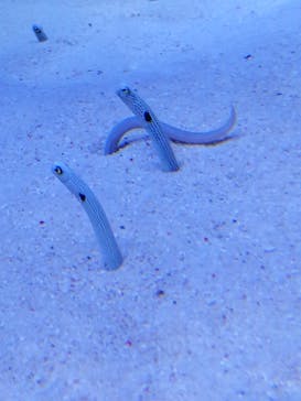 マリンワールド海の中道に投稿された画像（2022/11/1）