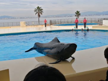 マリンワールド海の中道に投稿された画像（2022/11/1）