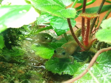 マリンワールド海の中道に投稿された画像（2022/11/1）