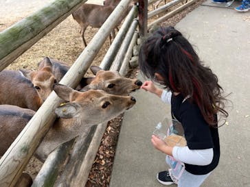 群馬サファリパークに投稿された画像（2022/11/1）