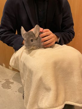 Moff animal cafe MARKIS 福岡ももち店に投稿された画像（2022/11/1）