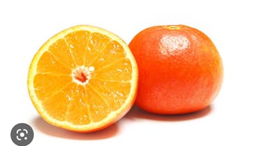 Moff animal cafe MARKIS 福岡ももち店に投稿された画像（2022/11/1）